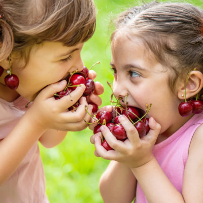 Children Eat Cherries In The Summer. Selective Focus.